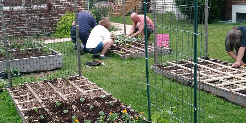 Participants work in raised garden beds during a community gardening and healthy living program.